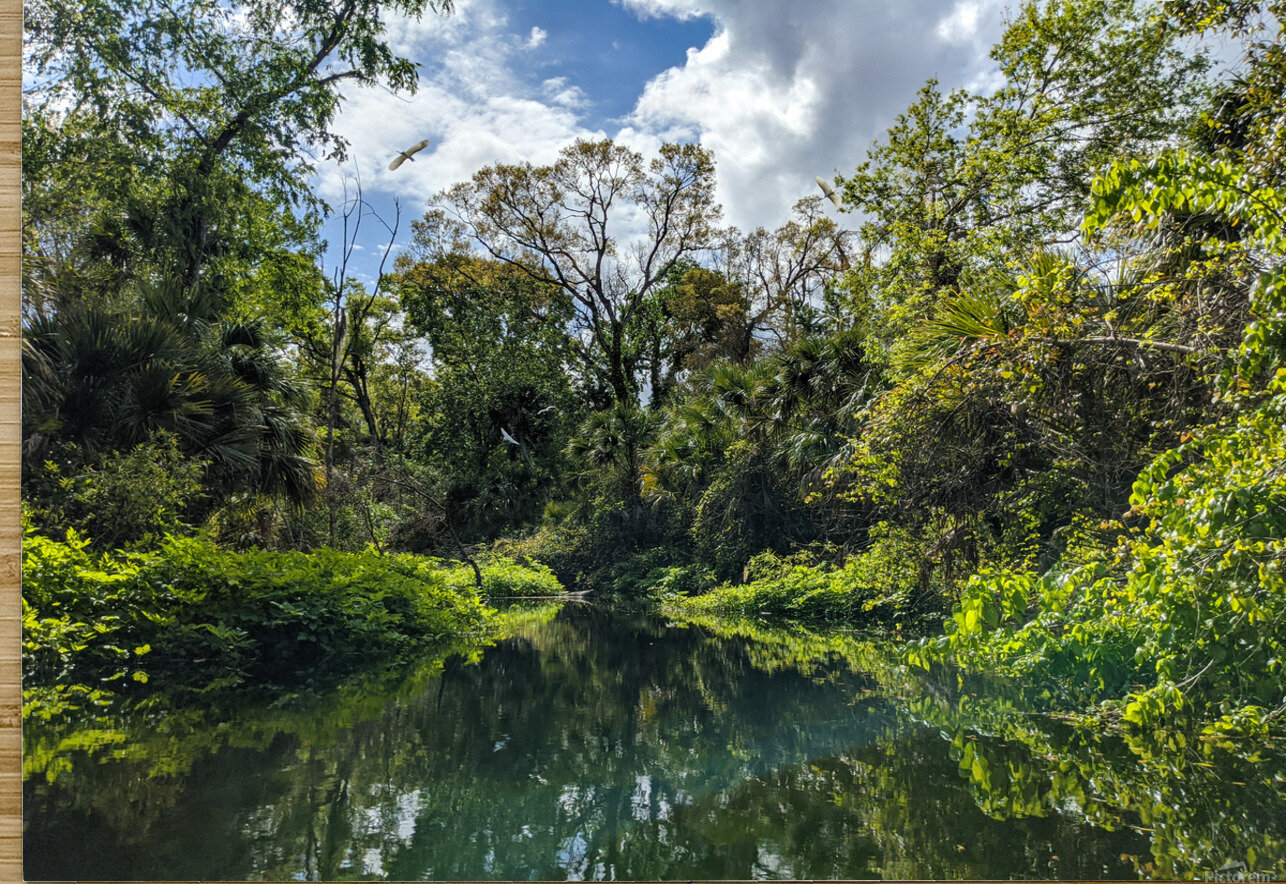 Paradise LNC PHOTOGRAPHY Puzzle printing