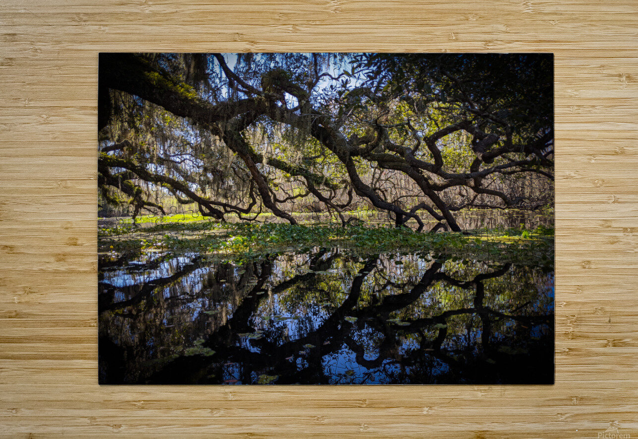 Reflections LNC PHOTOGRAPHY Puzzle printing