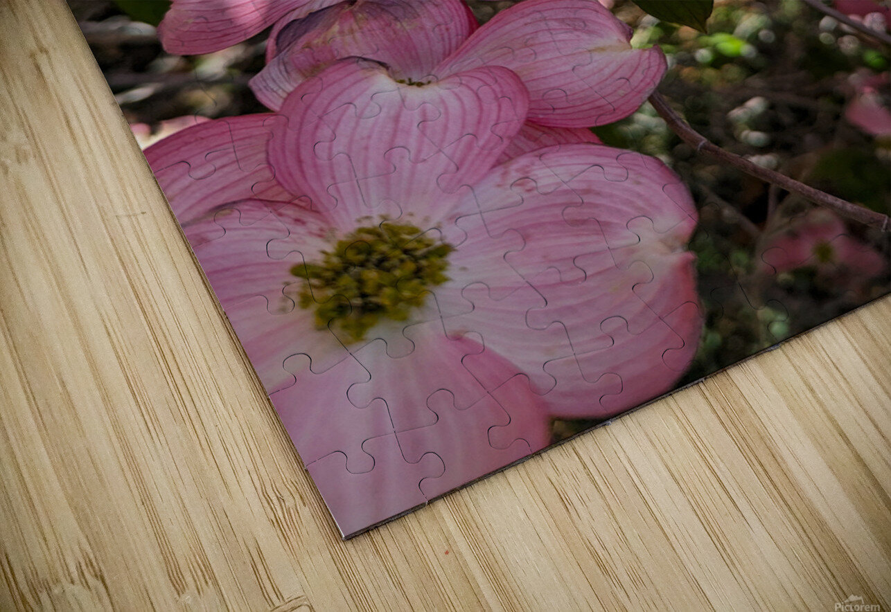 Apple Blossoms LNC PHOTOGRAPHY Puzzle