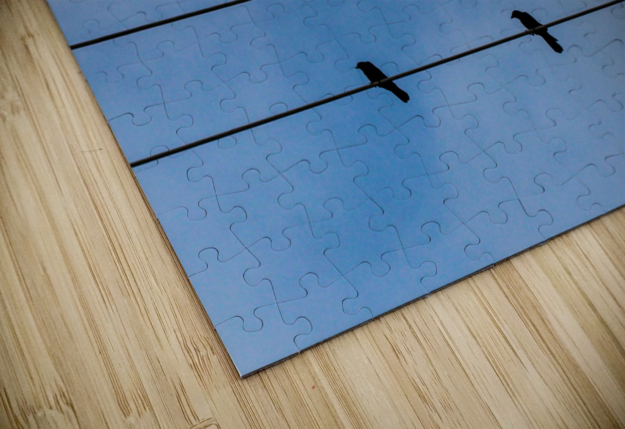 Birds on a wire LNC PHOTOGRAPHY Puzzle