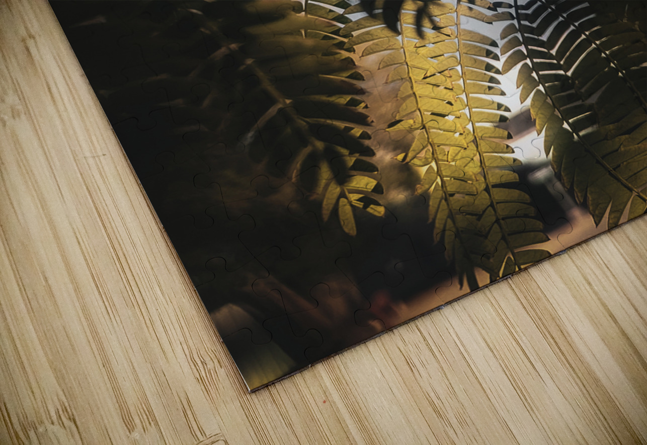 Light Fern LNC PHOTOGRAPHY Puzzle