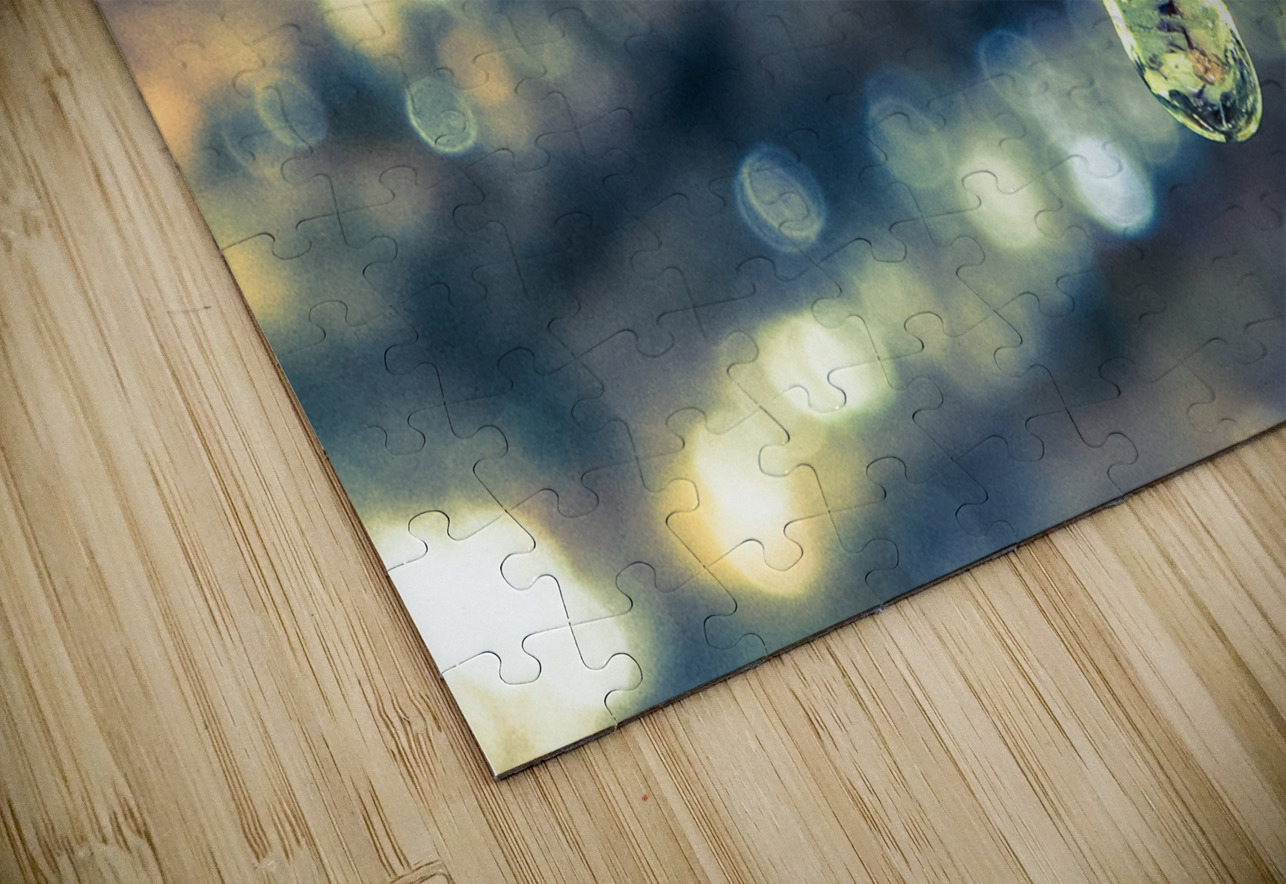 Beautified Slime LNC PHOTOGRAPHY Puzzle