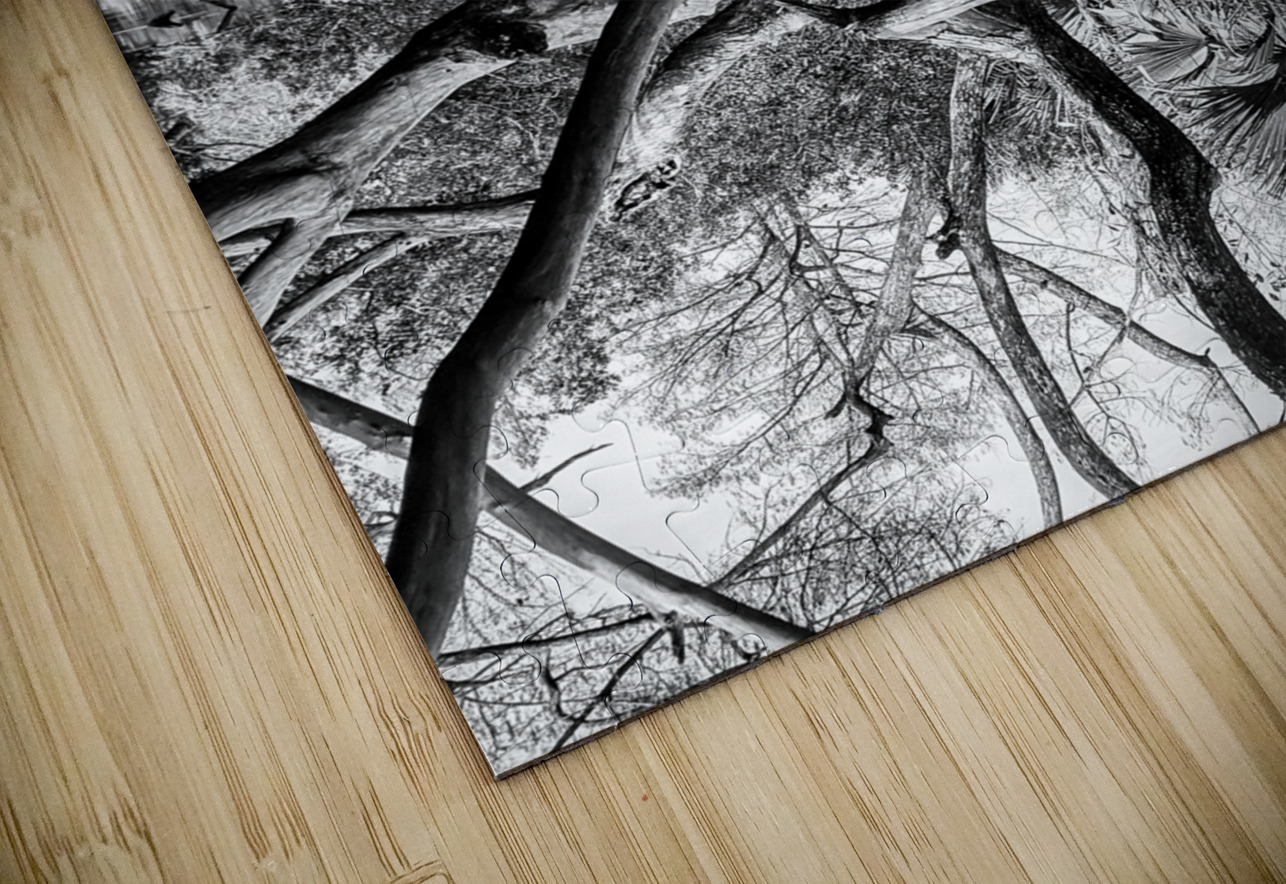 Black and White Reflection LNC PHOTOGRAPHY Puzzle