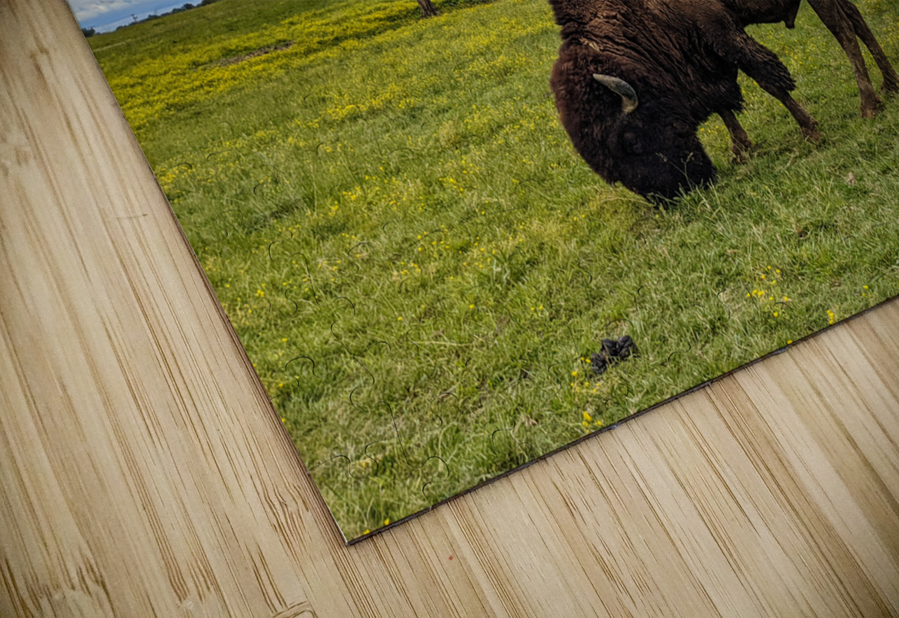 Bison LNC PHOTOGRAPHY Puzzle