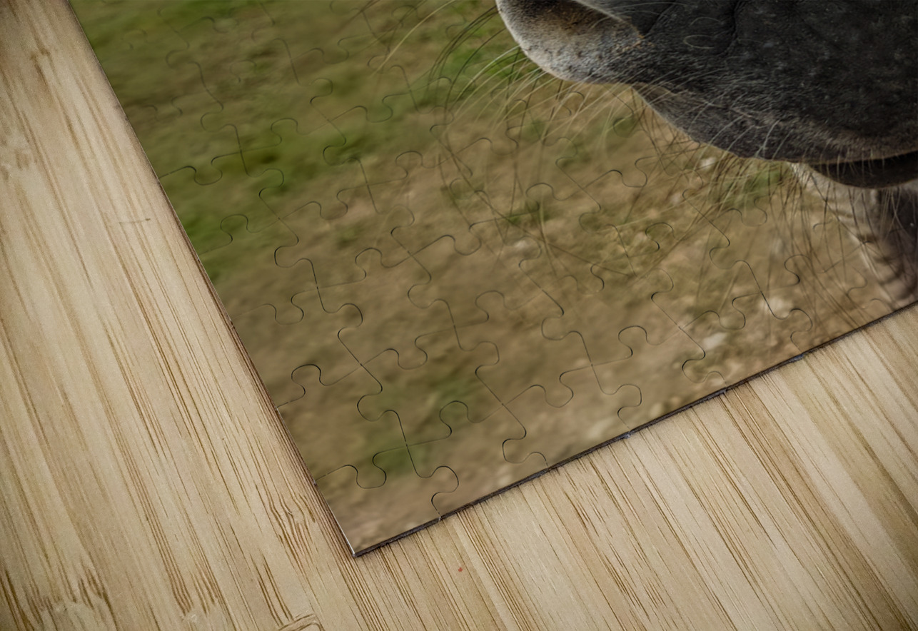 Funny Donkey LNC PHOTOGRAPHY Puzzle