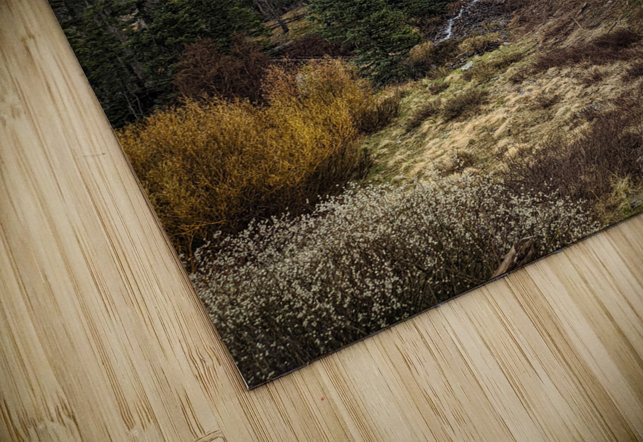 Moody Colorado LNC PHOTOGRAPHY Puzzle