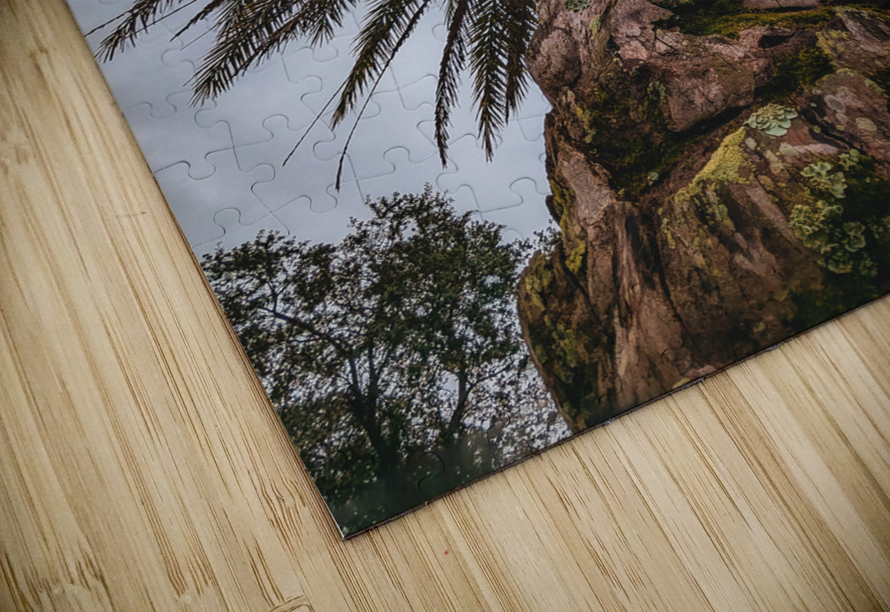 Palm Tree LNC PHOTOGRAPHY Puzzle