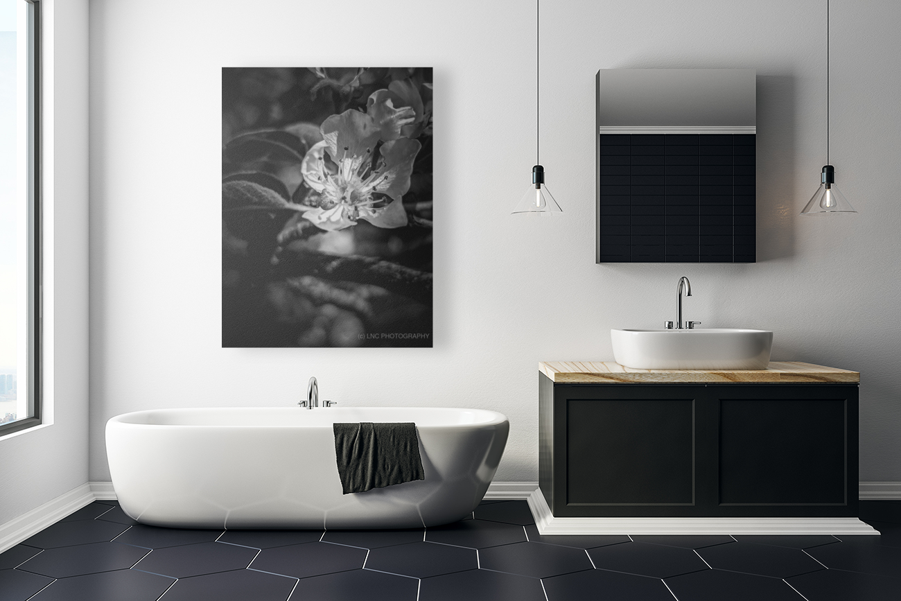 Flower Black and White Art